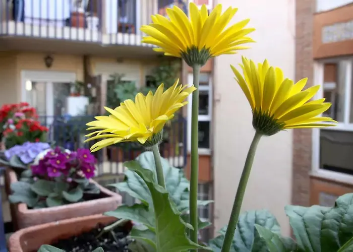 Appartement Azahara Córdoba