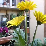 Apartamento Azahara Córdova